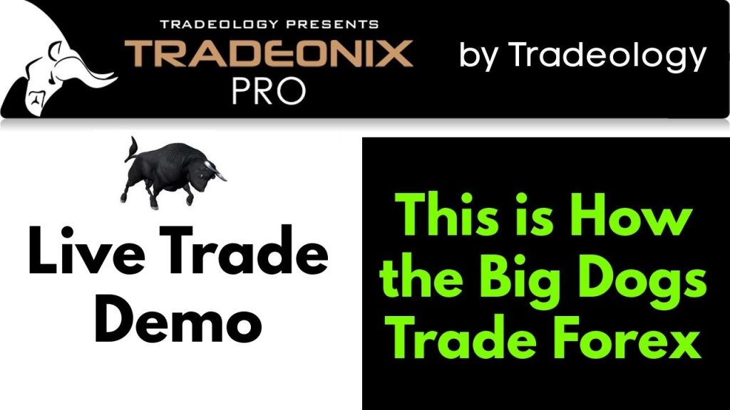 Tradeonix Pro Review Assessing Quality